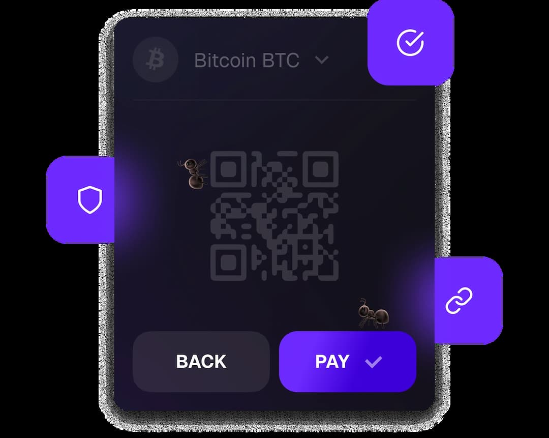 Crypto Payments Development